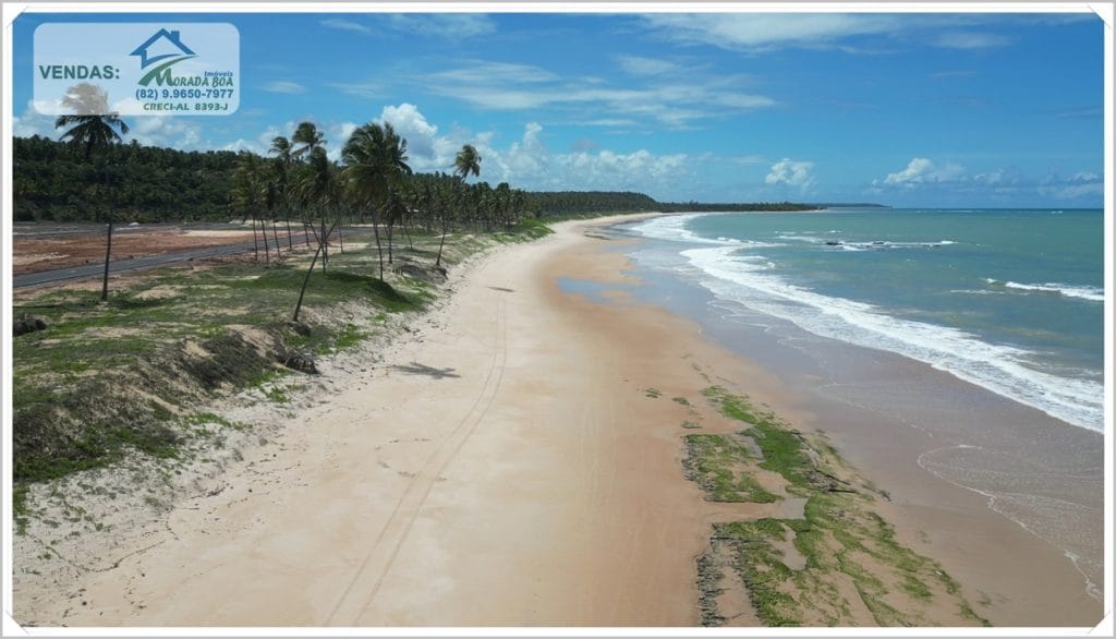 Praia tranquila com areia clara e palmeiras, águas azul-esverdeadas, sob céu parcialmente nublado. Ideal para imóveis à beira-mar.